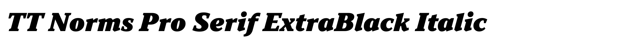 TT Norms Pro Serif ExtraBlack Italic image